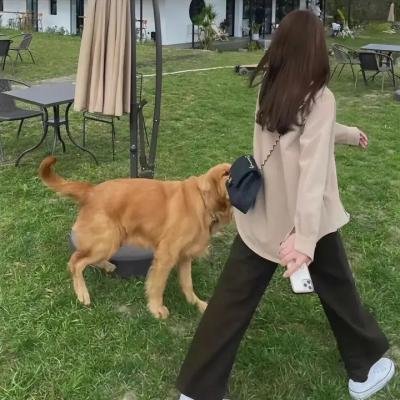 冒险兄弟第三季